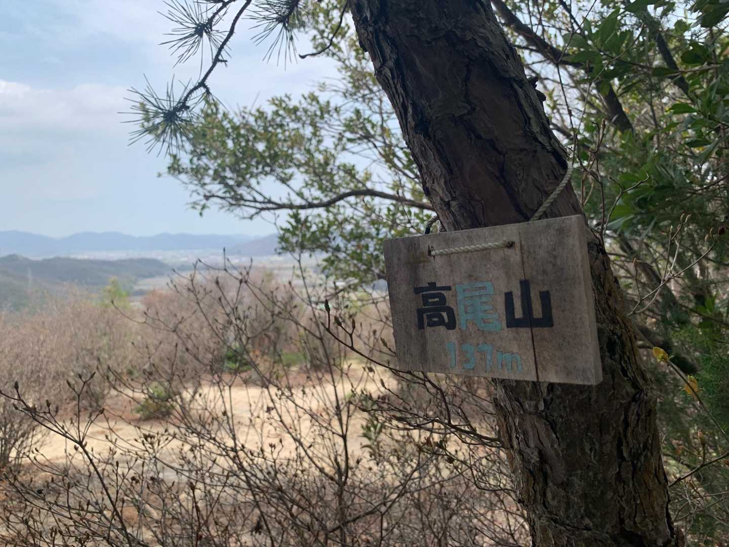 高尾山山頂