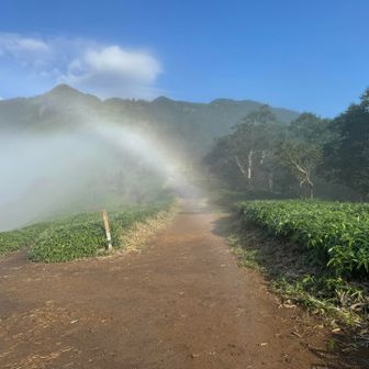 あ、登山道に虹