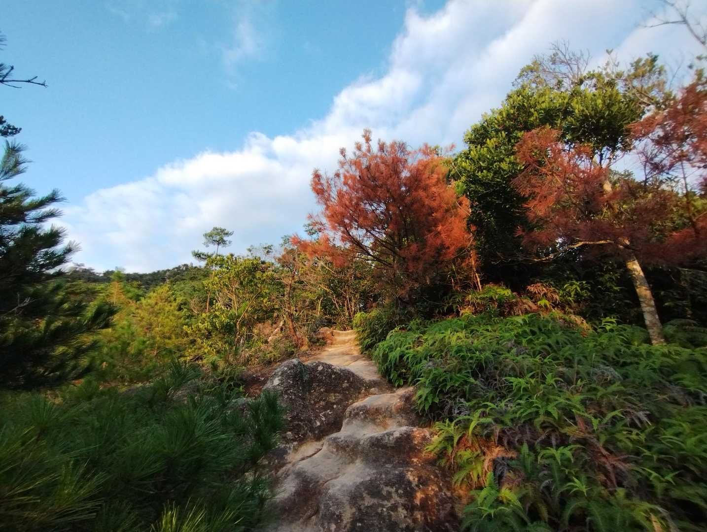 朝陽が昇って来ました😊
