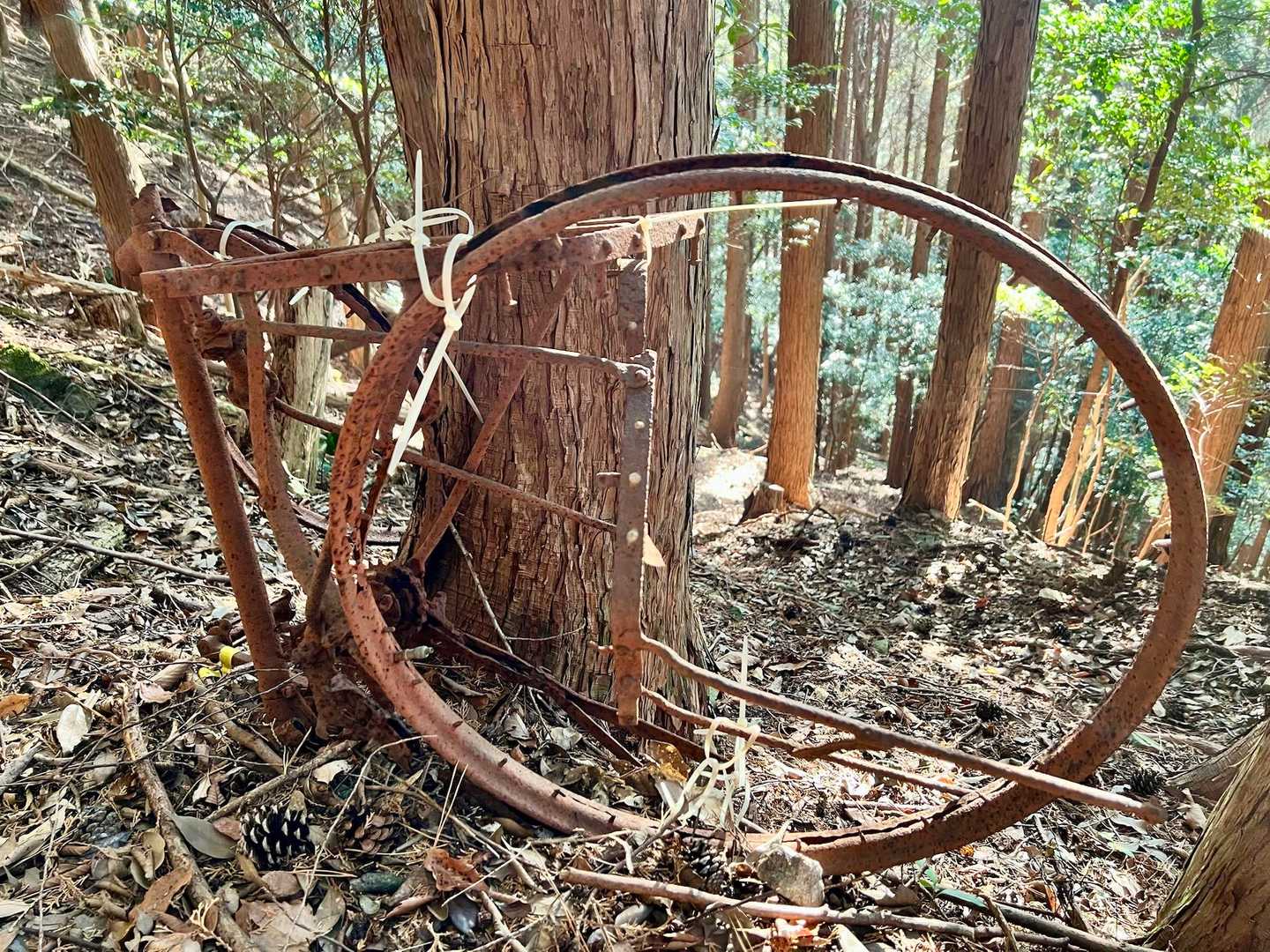 その後"かとたかセット"で有名な
自転車コース下り＆国見岩コース登り