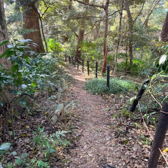 こんな感じのハイキングコース