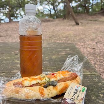 近所のパン屋さんで買ったパンと黒糖わらび餅。

トンビに狙われないように木がモリモリと茂っていてトンビに見つからないベンチがあったので、隠れるように食べました😋
高麗山山頂です。


昨日買ったパンだから固かった😓
