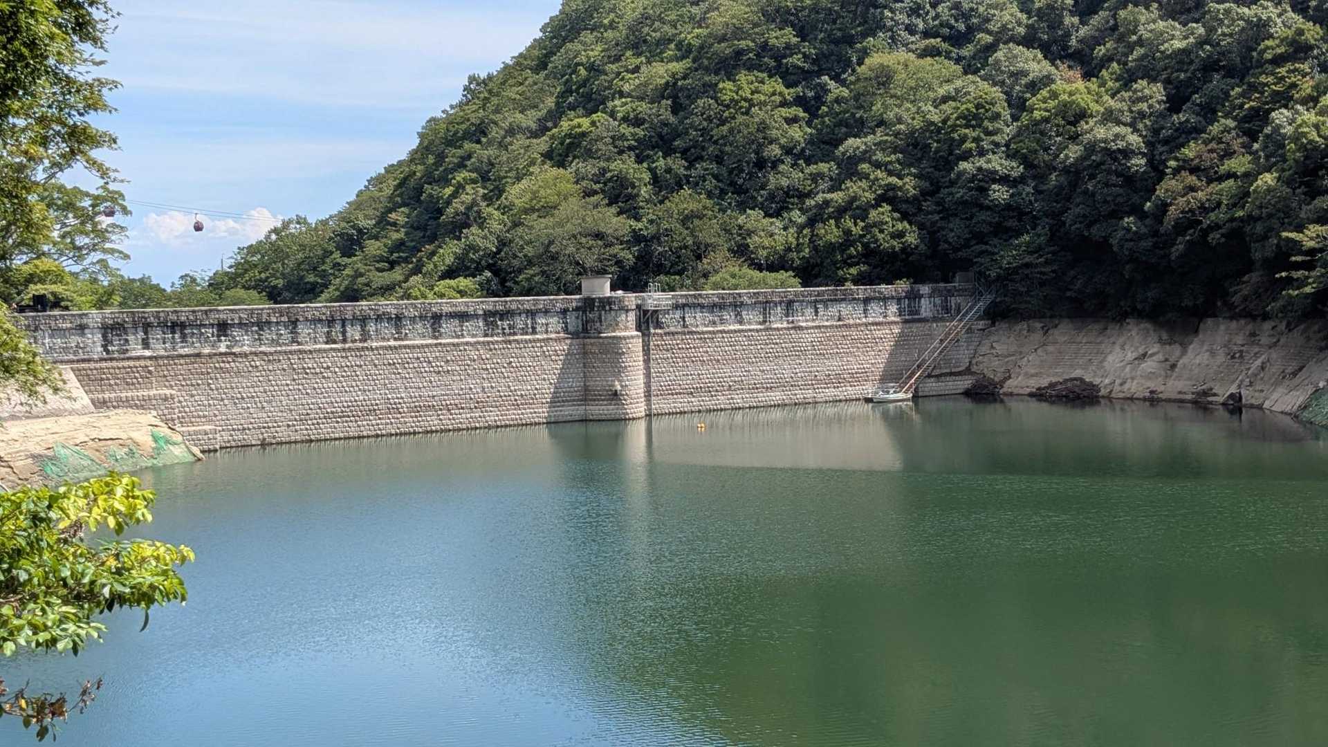 五本松の堰堤
干上がってこんなに沢山見える
帰りに気が付いた
かっこいいなぁ😃