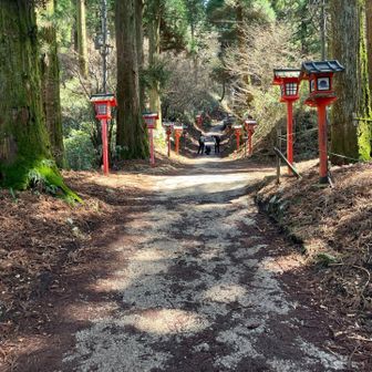 参道人は少ない