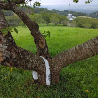 忘れ物取りに来るだろうか