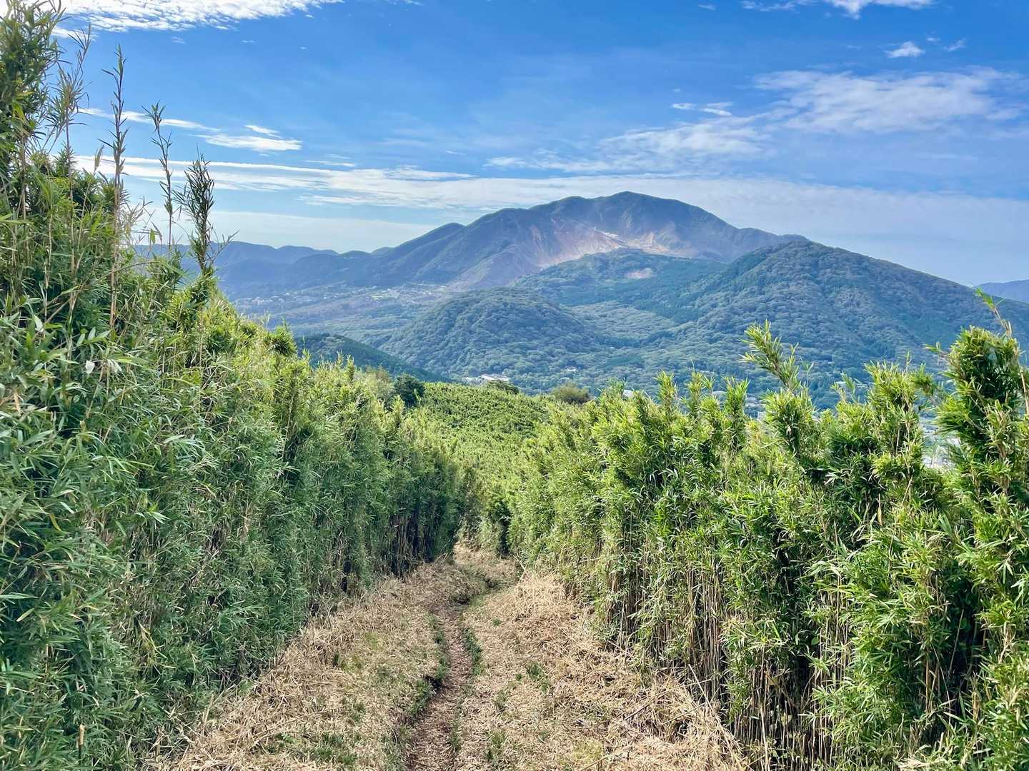 箱根山を見ながら進む