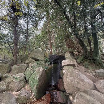 天拝山とても素敵な山です