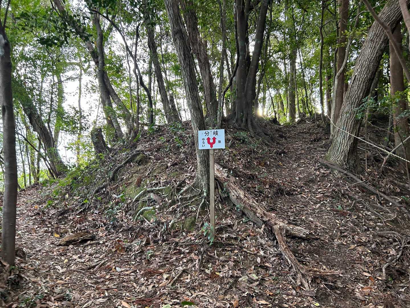 ベンチ-高房台-高房山 往復コースの写真