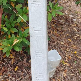 こんなところに
三角点があるなんて
知らなかった( =＾ω＾)
折れてたので立てて見たです