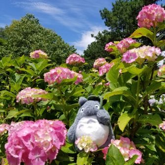 🌸ぽ の⛰️🌿♨️🎶