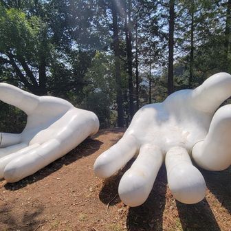 指1本に大人が座れる大きさ！