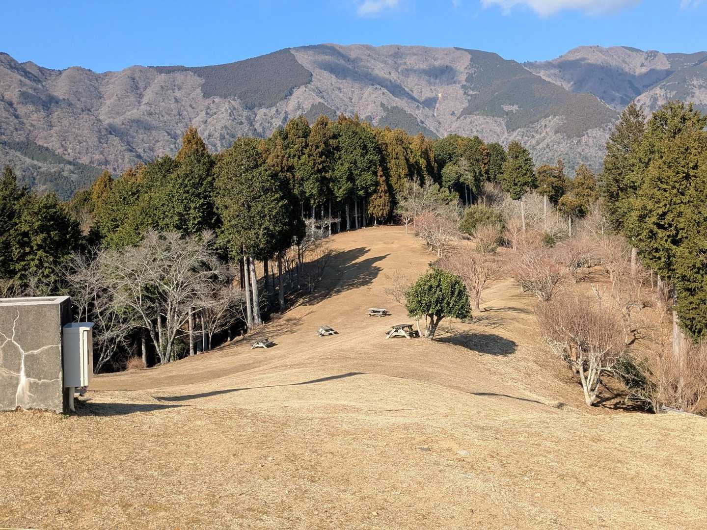杉尾山 往復コースの写真