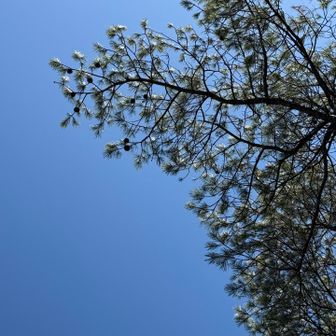 寝転がって撮りました