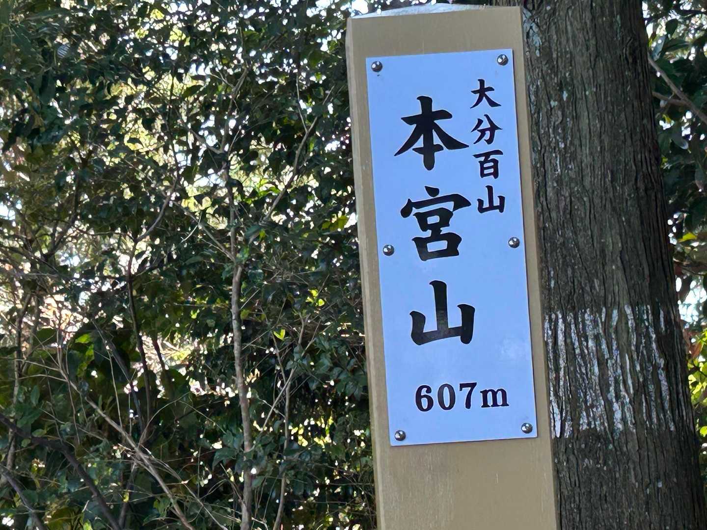 アップで