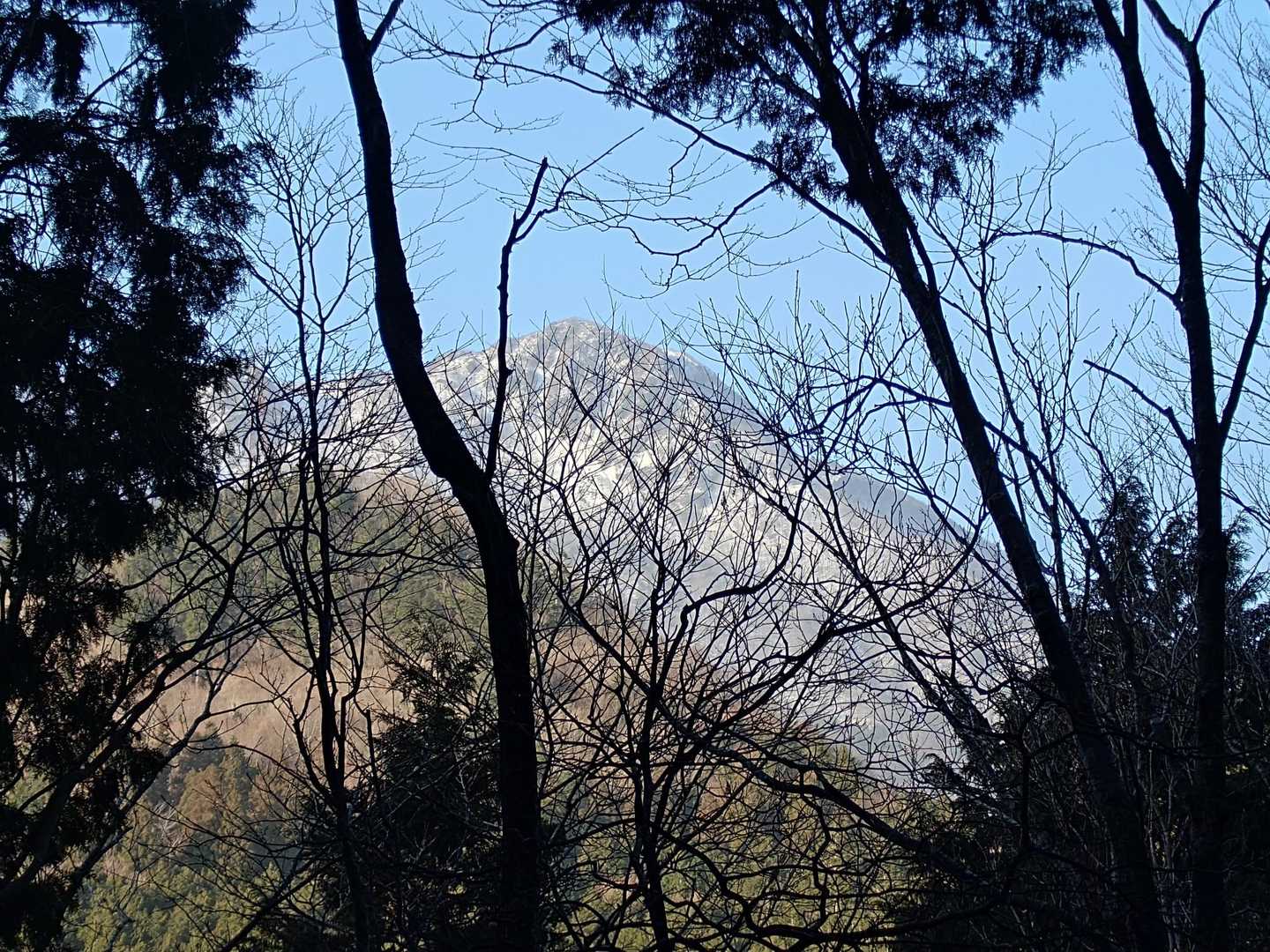 冠山かな🗻