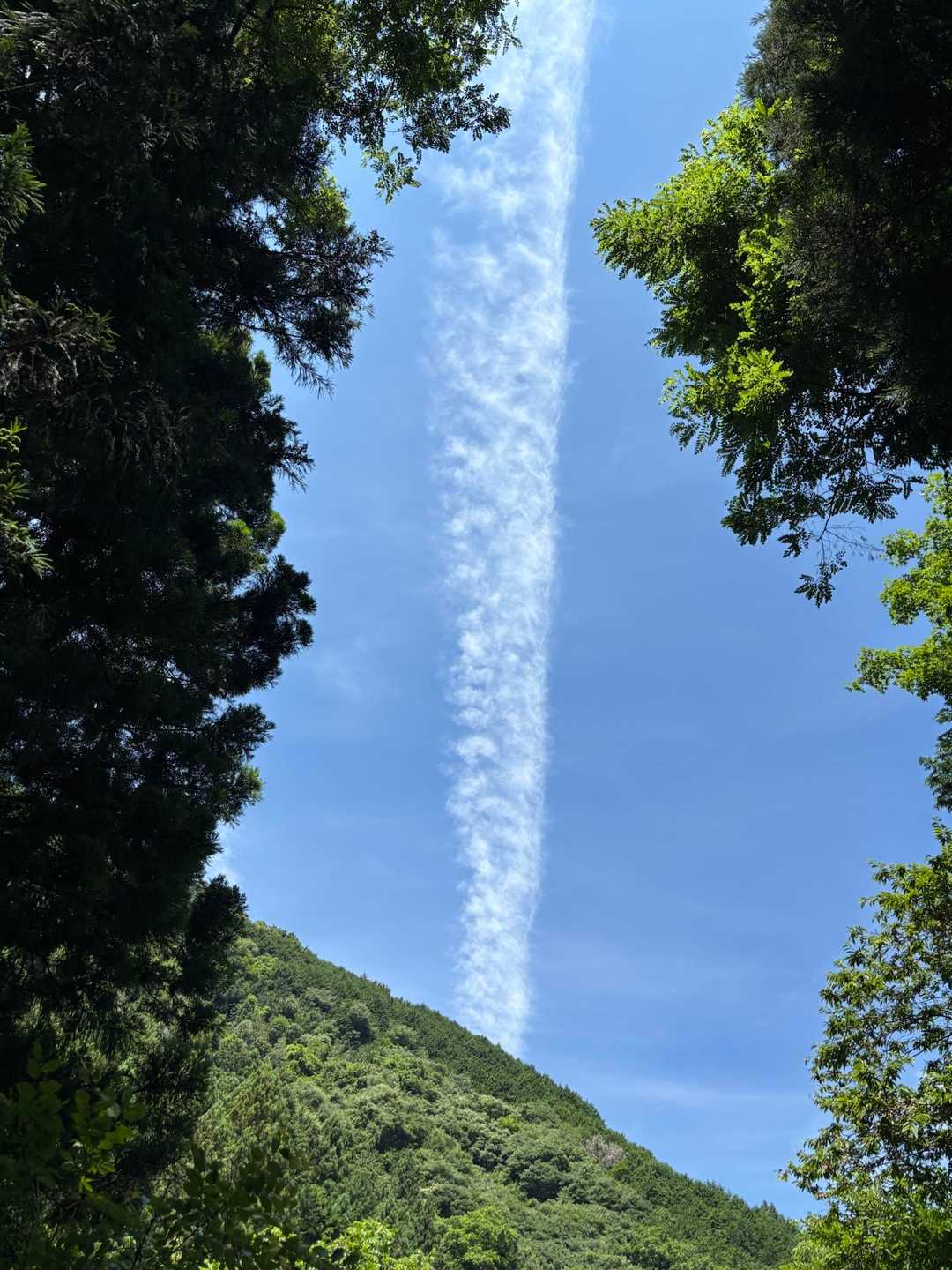 プシュー