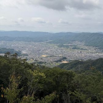 展望台からも府中市内