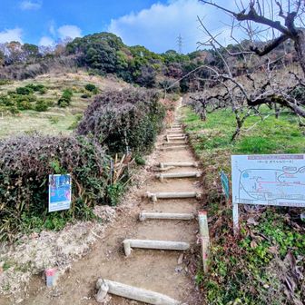お気に入りのぼっちゃんコース登山口からスタート😁
