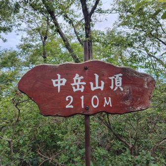 もう一度キツネノカミソリ見に行きたいので中岳に来ました😊