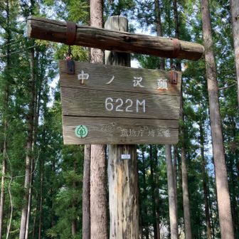 中丿沢頭（なかのさわのあたま）623m
