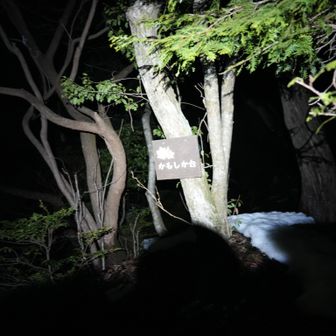 こんな看板あったっけ？