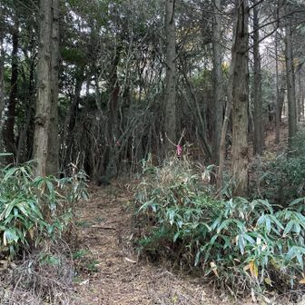 山頂より出てきました！😃