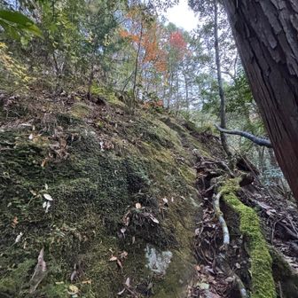 さあ、スタート！