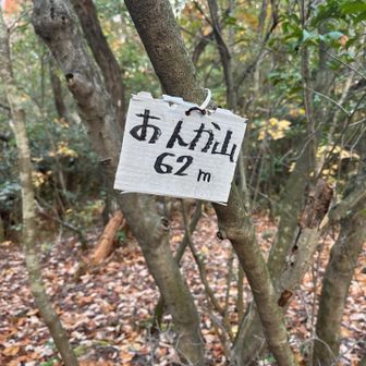 標識がダンボール