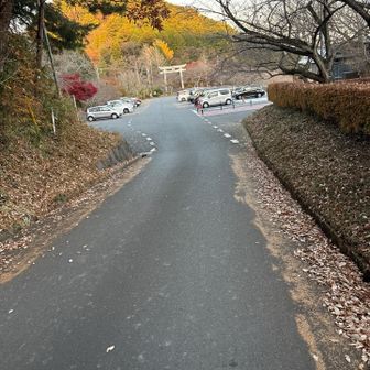 意外にまだ駐車中の車が結構ありました。
