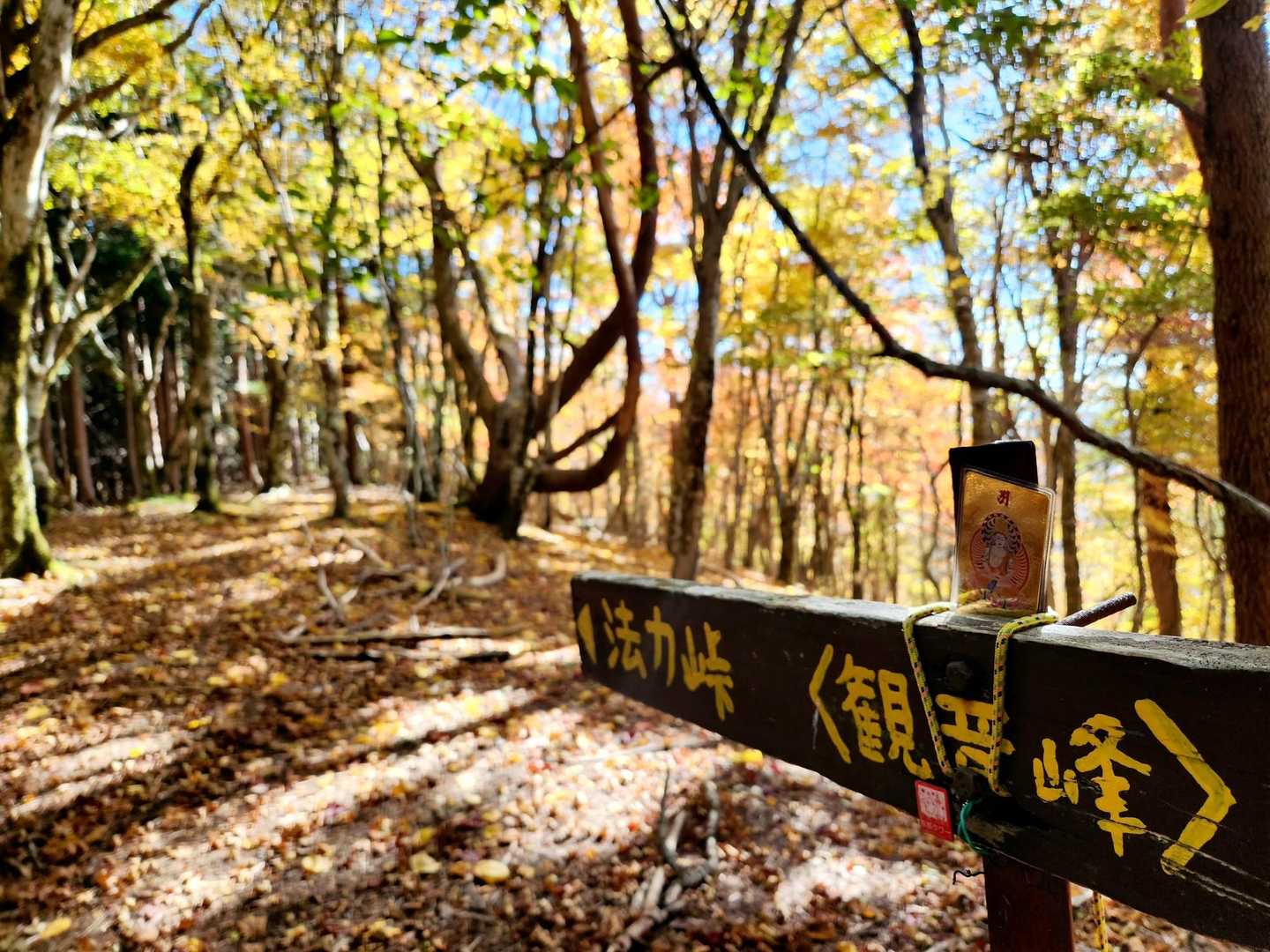登頂～

