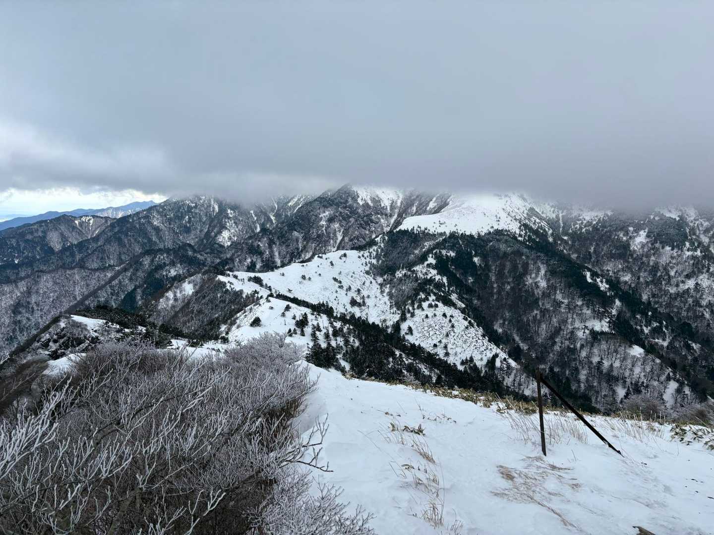 保井野登山口-堂ヶ森 往復コースの写真