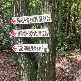 展望台多数あるよ