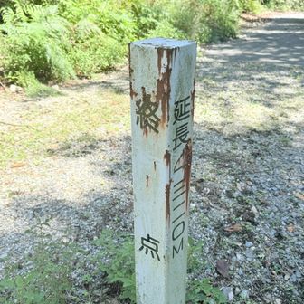 林道焼合谷線の終点。