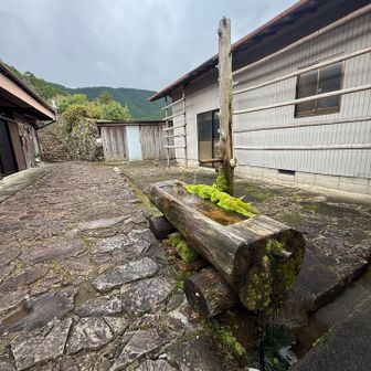 ここ好きなとこー