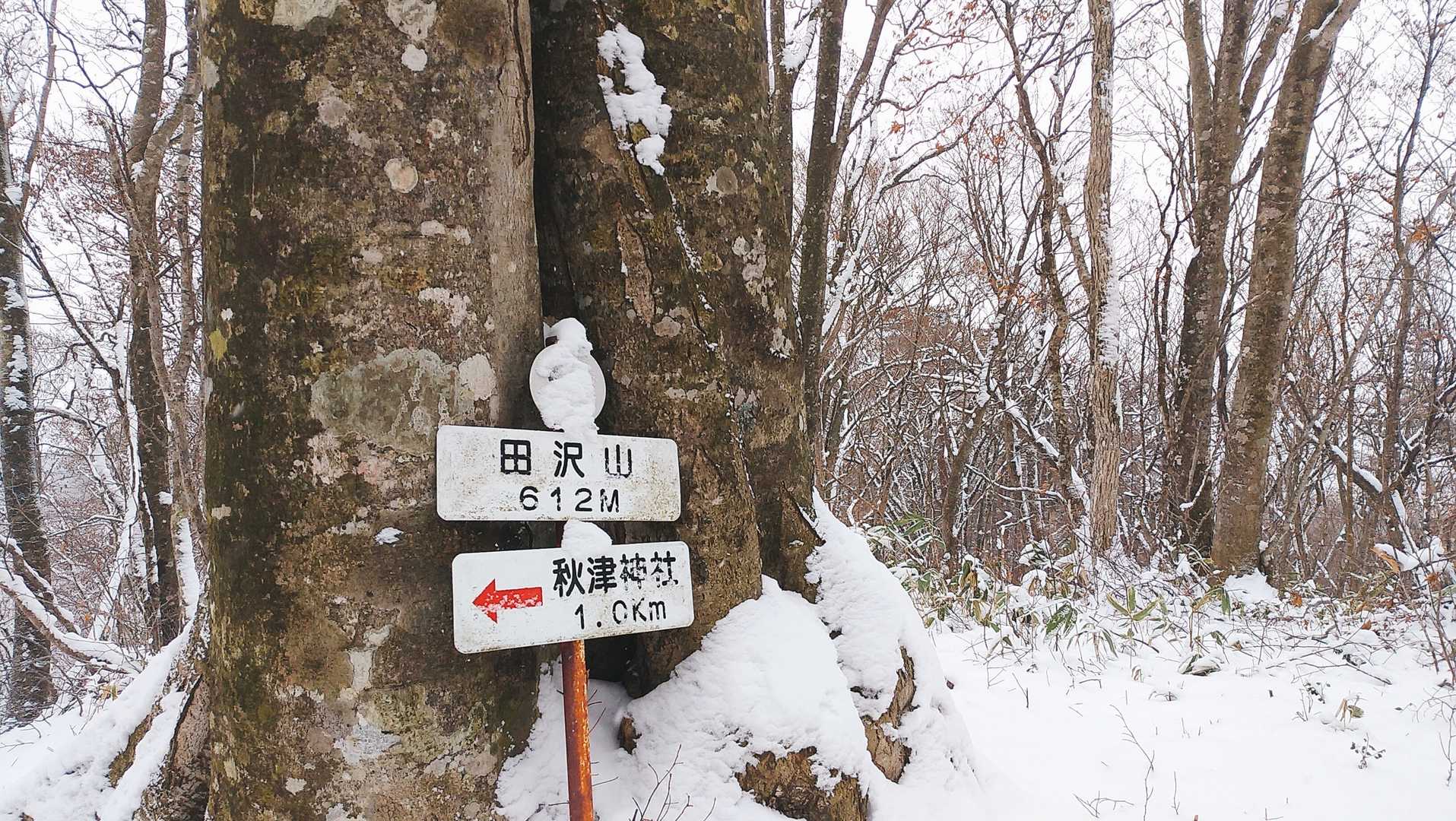 田沢山（岩手県）の写真