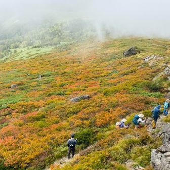 山頂の隣のあの大きな岩から。団体さんと紅葉🍁