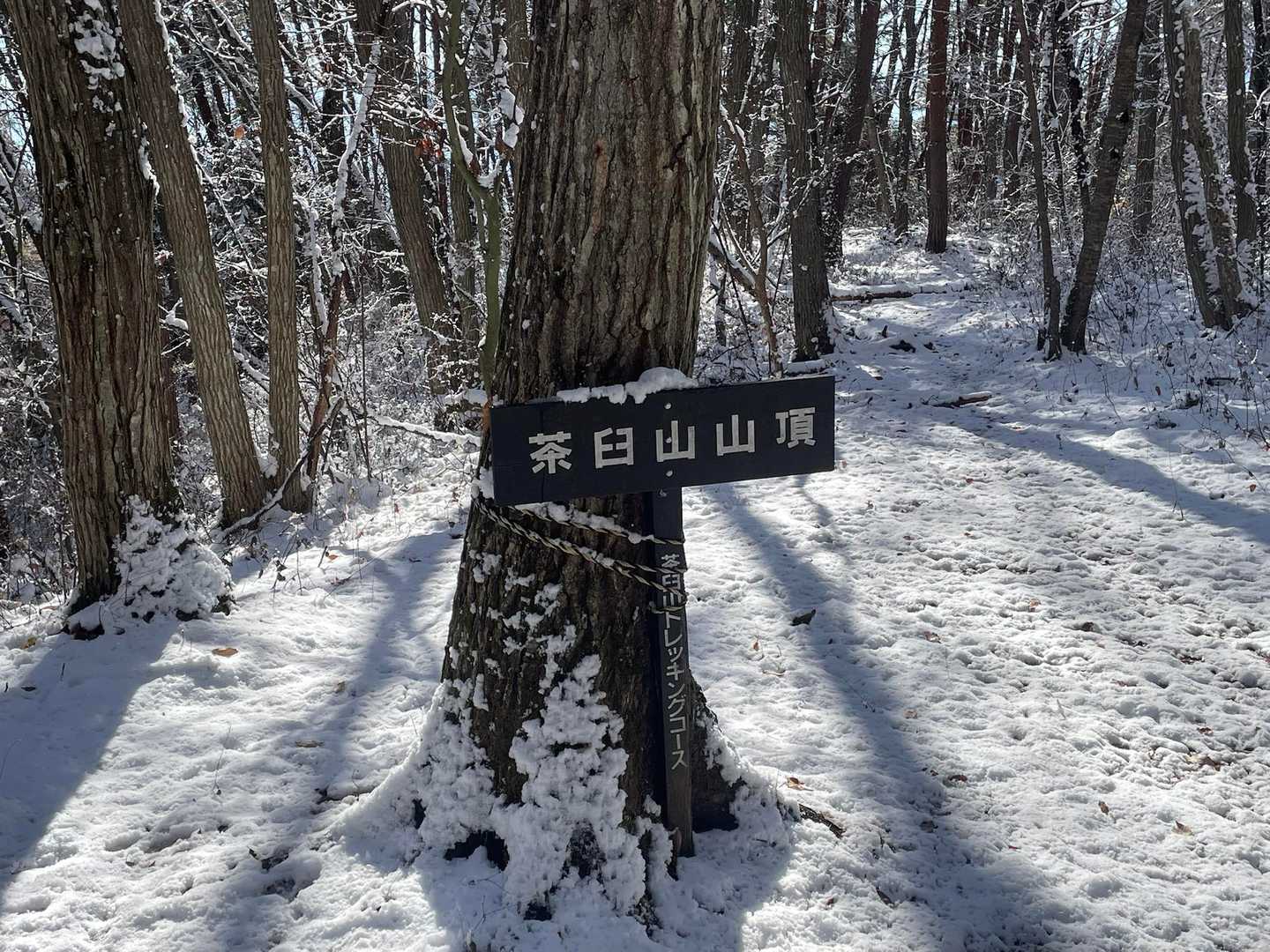ビューは無し