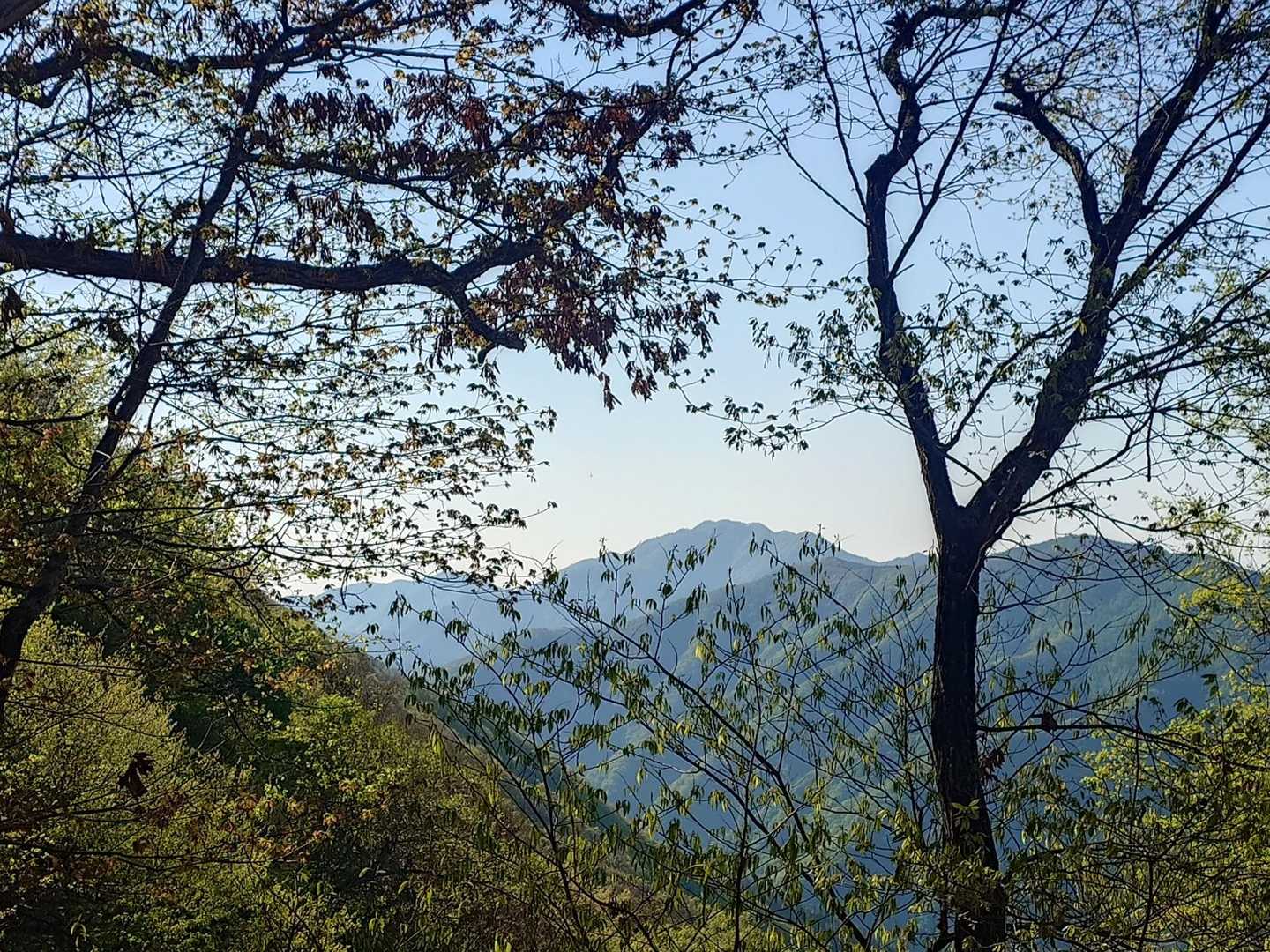 丹波役場前バス停-丹波バス停-サオラ峠-熊倉山-前飛竜-飛 周回コースの写真
