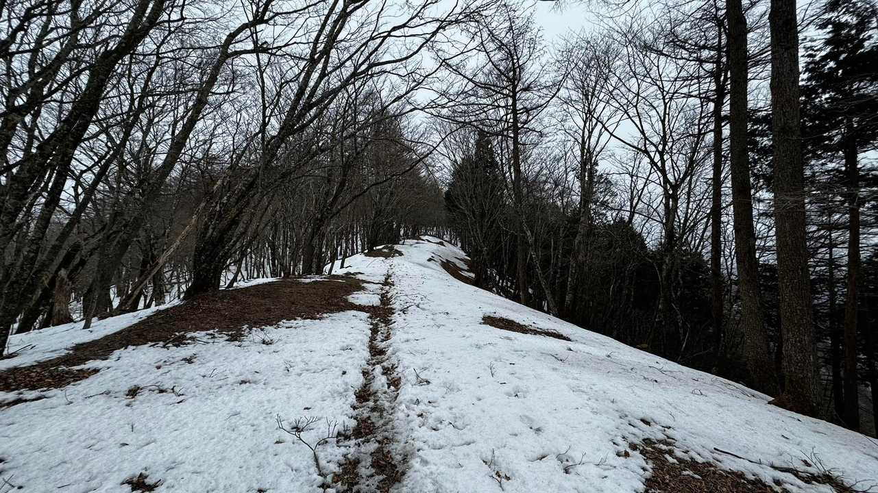 奥多摩、石尾根テン泊縦走（鴨沢〜七ツ石山〜鷹ノ巣山〜六ツ石山〜奥多摩駅） の写真 59