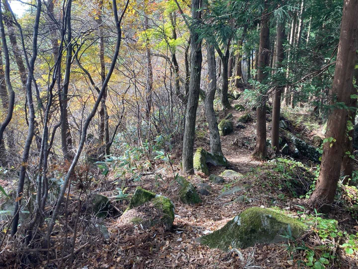 駒形峰・経塚山登山口-駒形山-経塚山-音羽山-束稲山 往復コースの写真