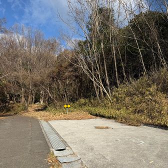 車も止めれそうです♪