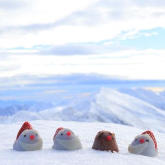 Xmasスイーツいただきました🙏