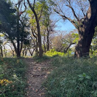 峰山ー。

途中、犬が2頭並んで歩いてて可愛かった。