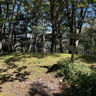 かずら橋への分岐