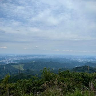 麻生山からは関東平野一望
オカザキッチンさんも最近お勧めしてたからお勧め←

ベンチは２つ
湿度すごかったけど山頂は涼しかった