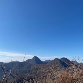 おやすみ石の🐦さんたちには次回会いたいと思います♡
