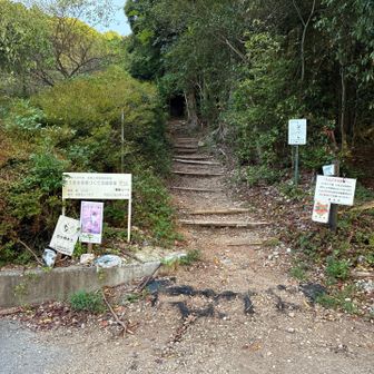 こっちから