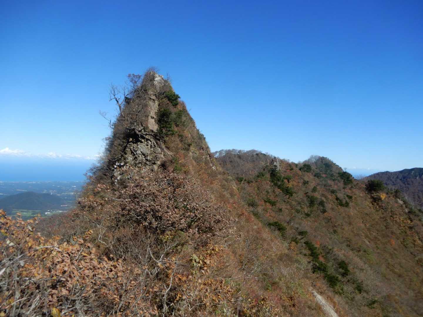 越えてきた親ピを振り返る