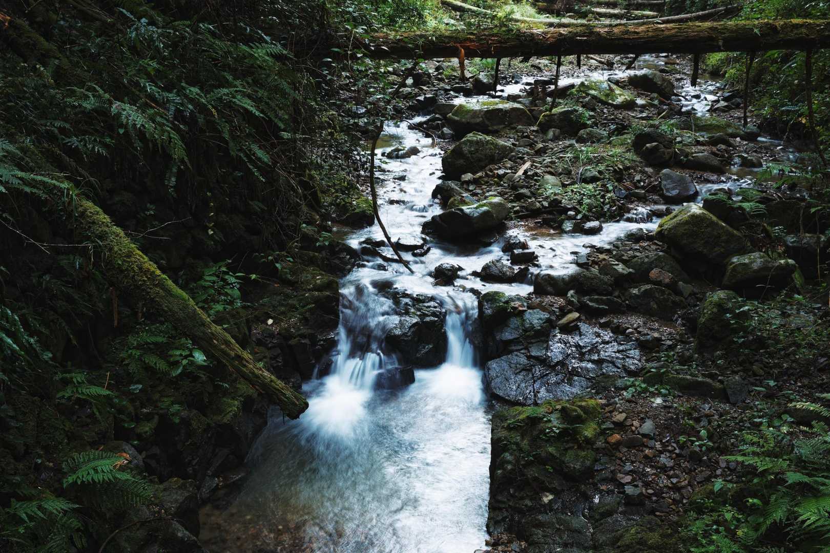 🌊