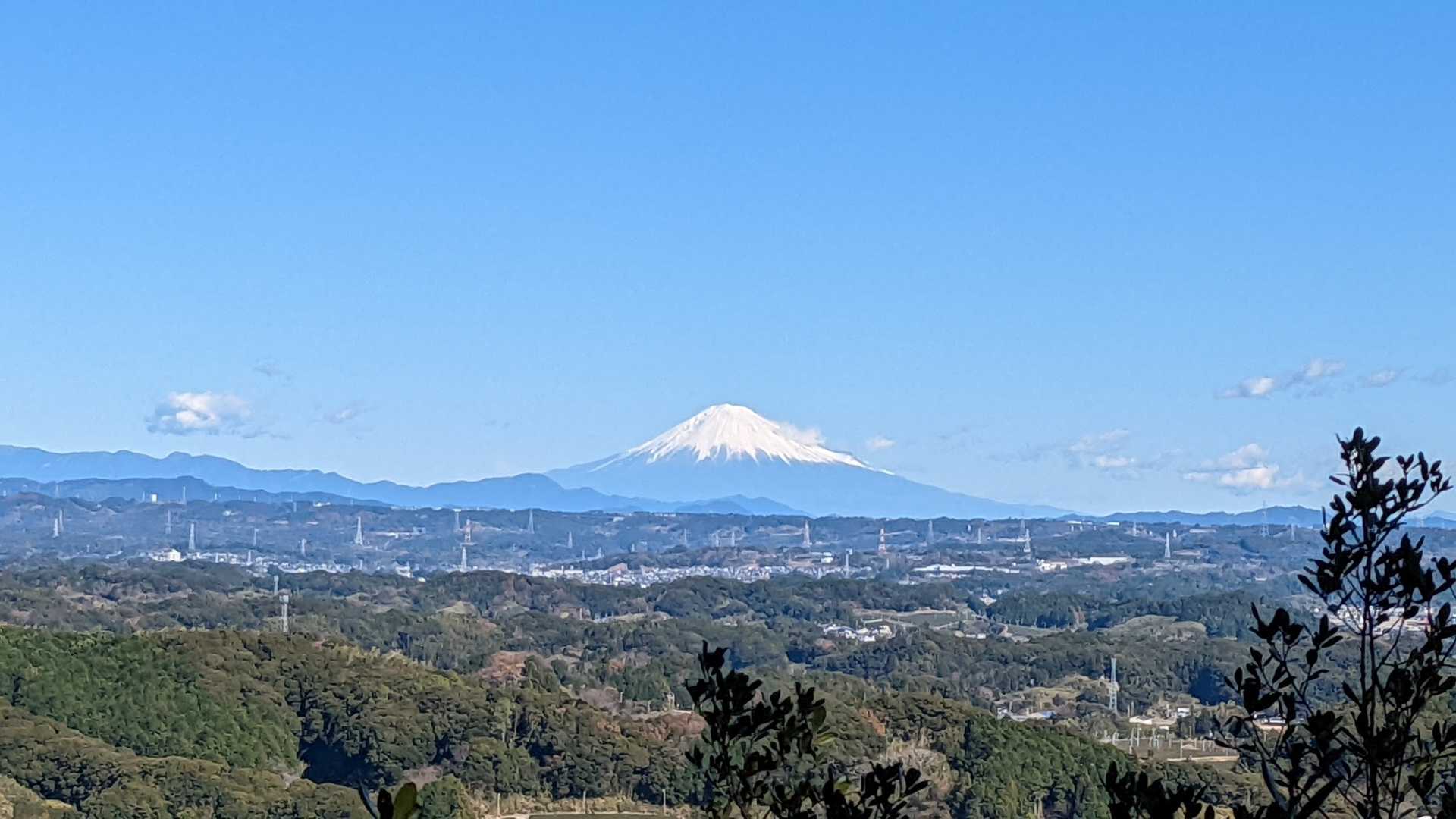 籠城していた武田軍は甲斐国（いまの山梨県）が恋しかったでしょうね…